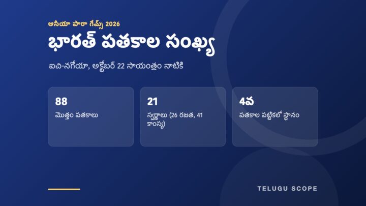 ఆసియా పారా గేమ్స్‌లో భారత్‌కు 88 పతకాలు, 21 స్వర్ణాలు, నాలుగో స్థానం చూపే నీలి కార్డు.