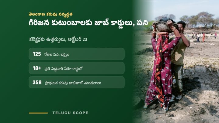 గ్రాఫిక్: తెలంగాణలో గిరిజన కుటుంబాలకు జాబ్ కార్డులు, 125 రోజుల పని లక్ష్యం; పక్కన పూడిక మట్టి మోస్తున్న కూలీల ఫైల్ ఫొటో.