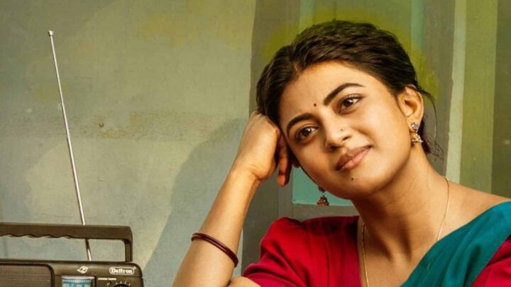 ఎరుపు జాకెట్టు, ఆకుపచ్చ చీరలో పాత రేడియో పక్కన చెంపకు చేయి ఆన్చి నవ్వుతున్న ఆనంది.